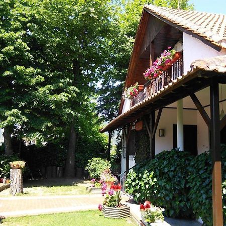 Villa Afroditi Vrasná Exteriör bild