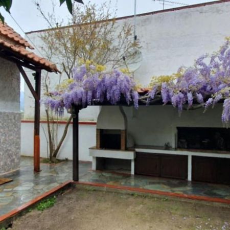 Villa Afroditi Vrasná Exteriör bild